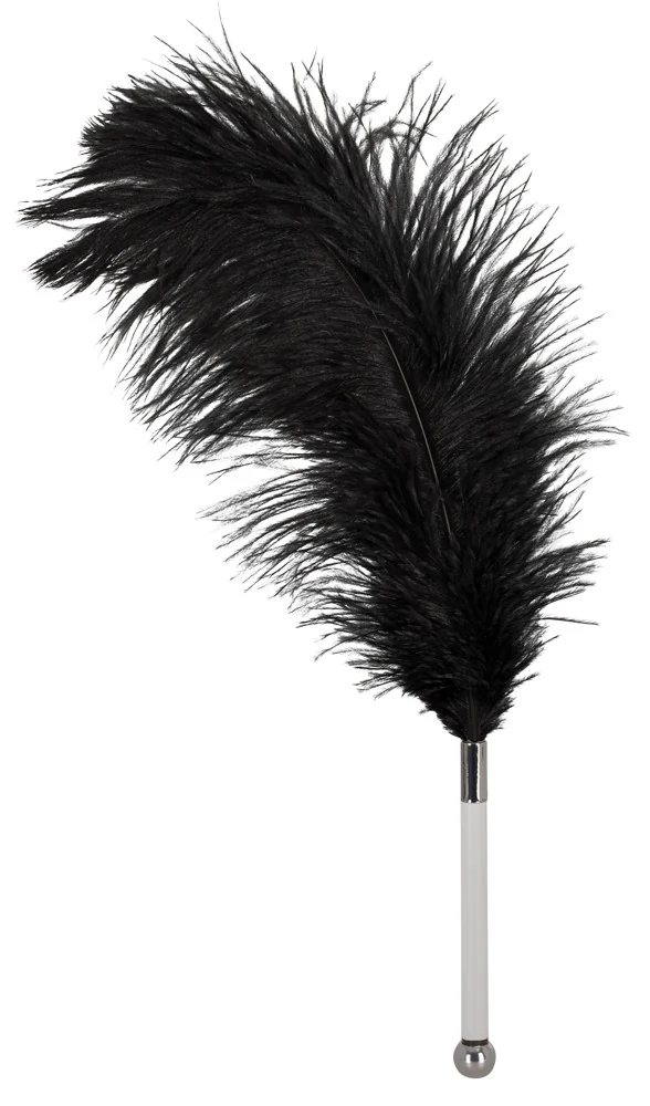 Bad Kitty Federstab federn tickler
