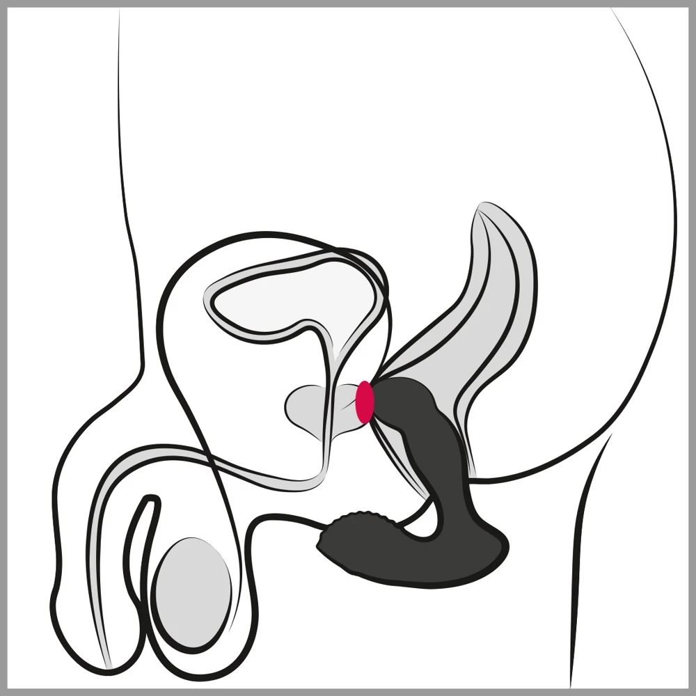 Rebel RC Prostate Massager 13,1 cm anal toy