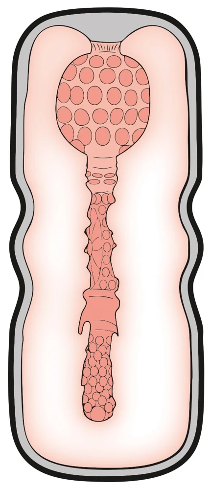 Stroker Style Masturbator