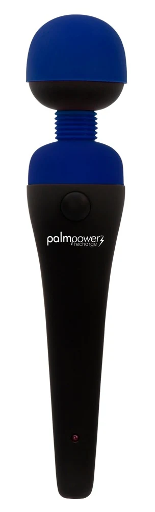 palmpower Recharge 19,5 cm vibrator