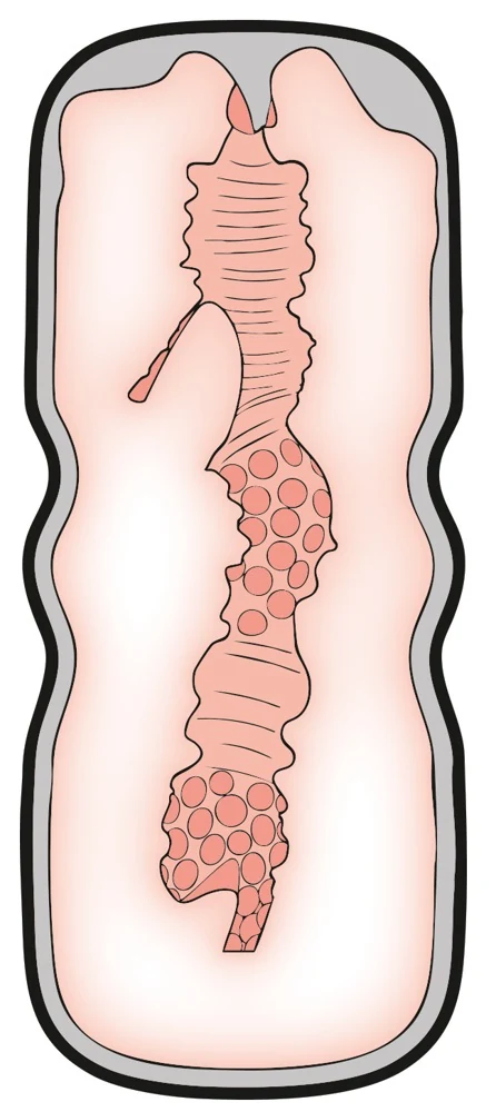 Stroker Style Masturbator
