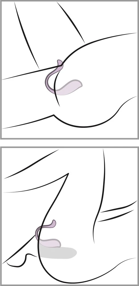SVAKOM Phoenix Neo 2 11,8 cm vibrator