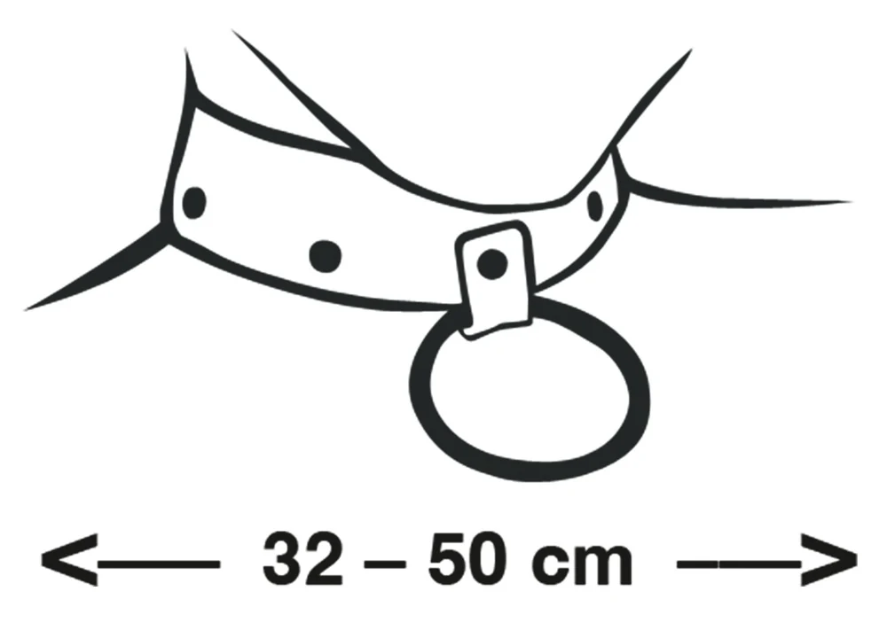 ZADO Halsfessel aus Leder bondage fesseln