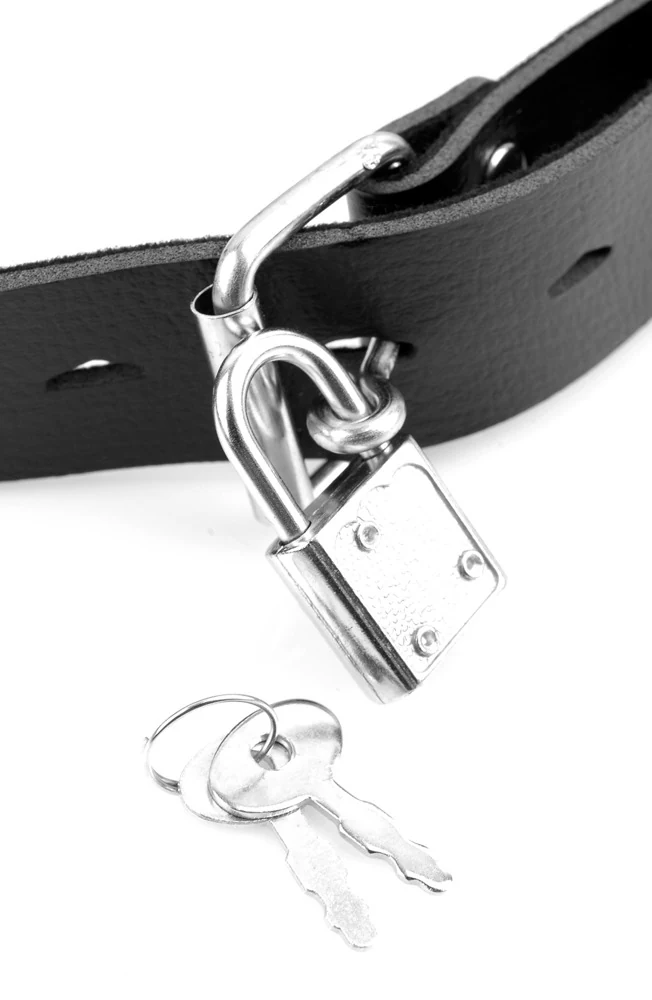 FF Series Deluxe Ball Gag with Dildo masken knebel