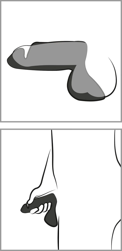 Rebel Penis Trainer with 3 Point Stimulation masturbator
