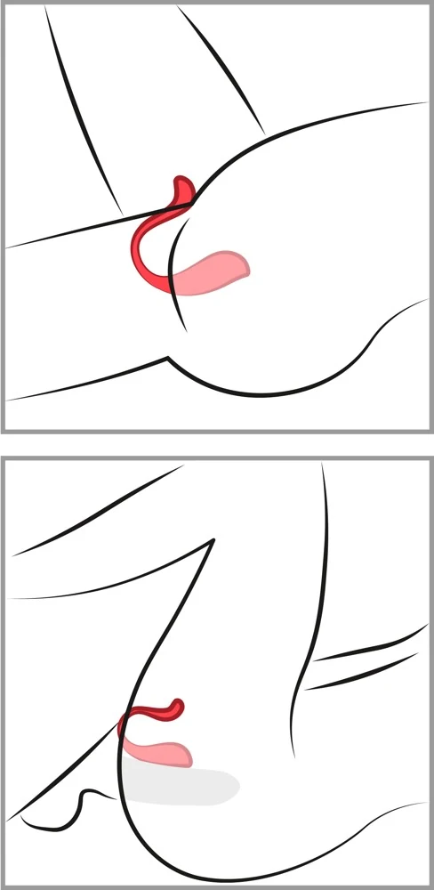 SVAKOM Phoenix Neo 2 11,8 cm vibrator