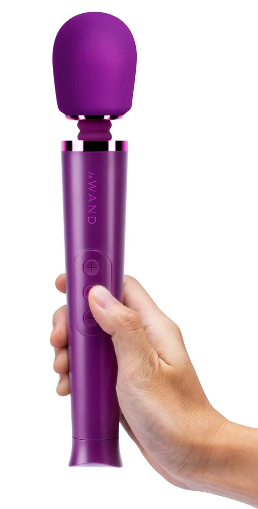 le Wand Petite Rechargeable Vibrating Massager 25,4 cm vibrator
