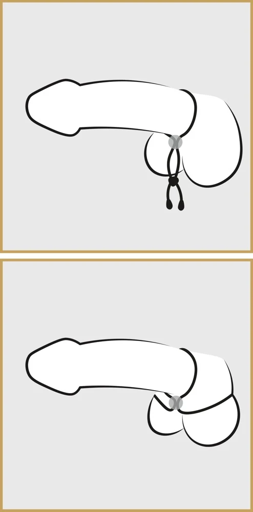 Bad Kitty Cock Ball Loop penisring