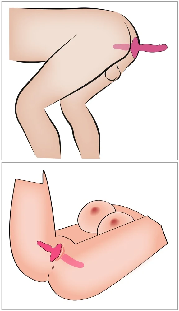 Couples Choice 2in1 Vibrator Butt Plug 26 cm