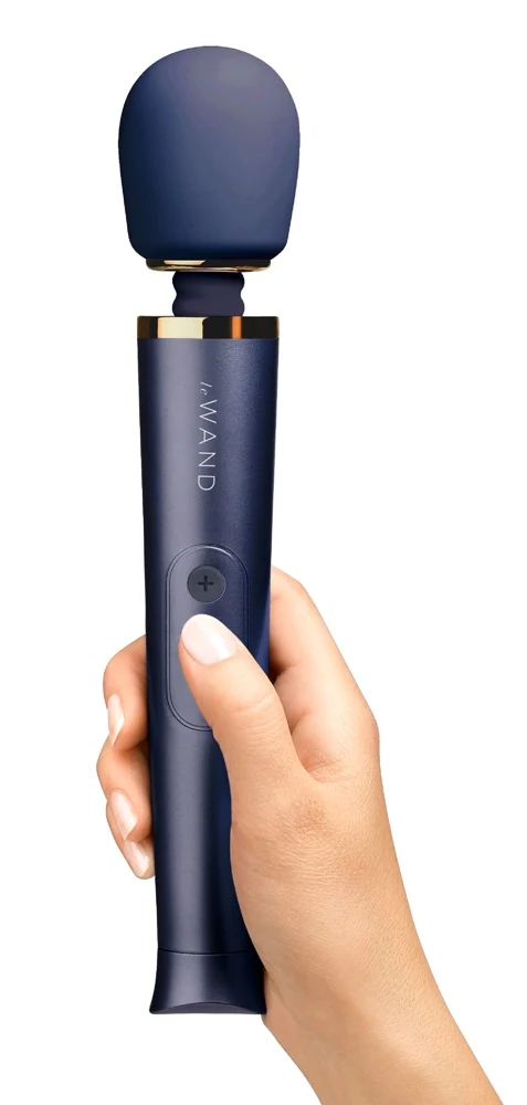 le Wand Petite Rechargeable Vibrating Massager 25,4 cm vibrator