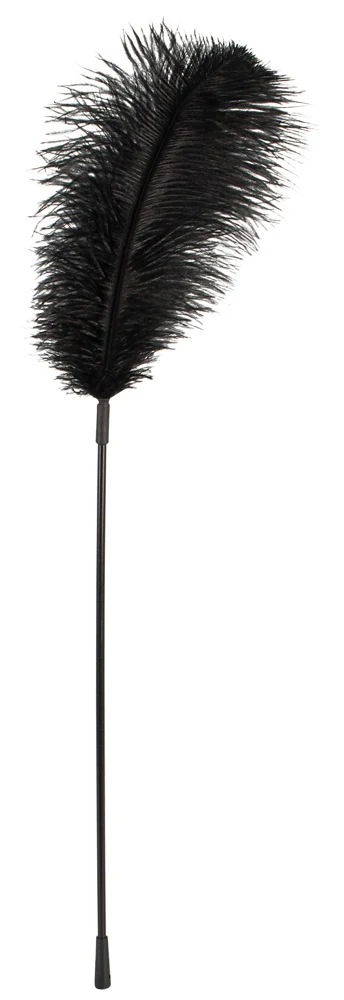 Bad Kitty Federstab federn tickler
